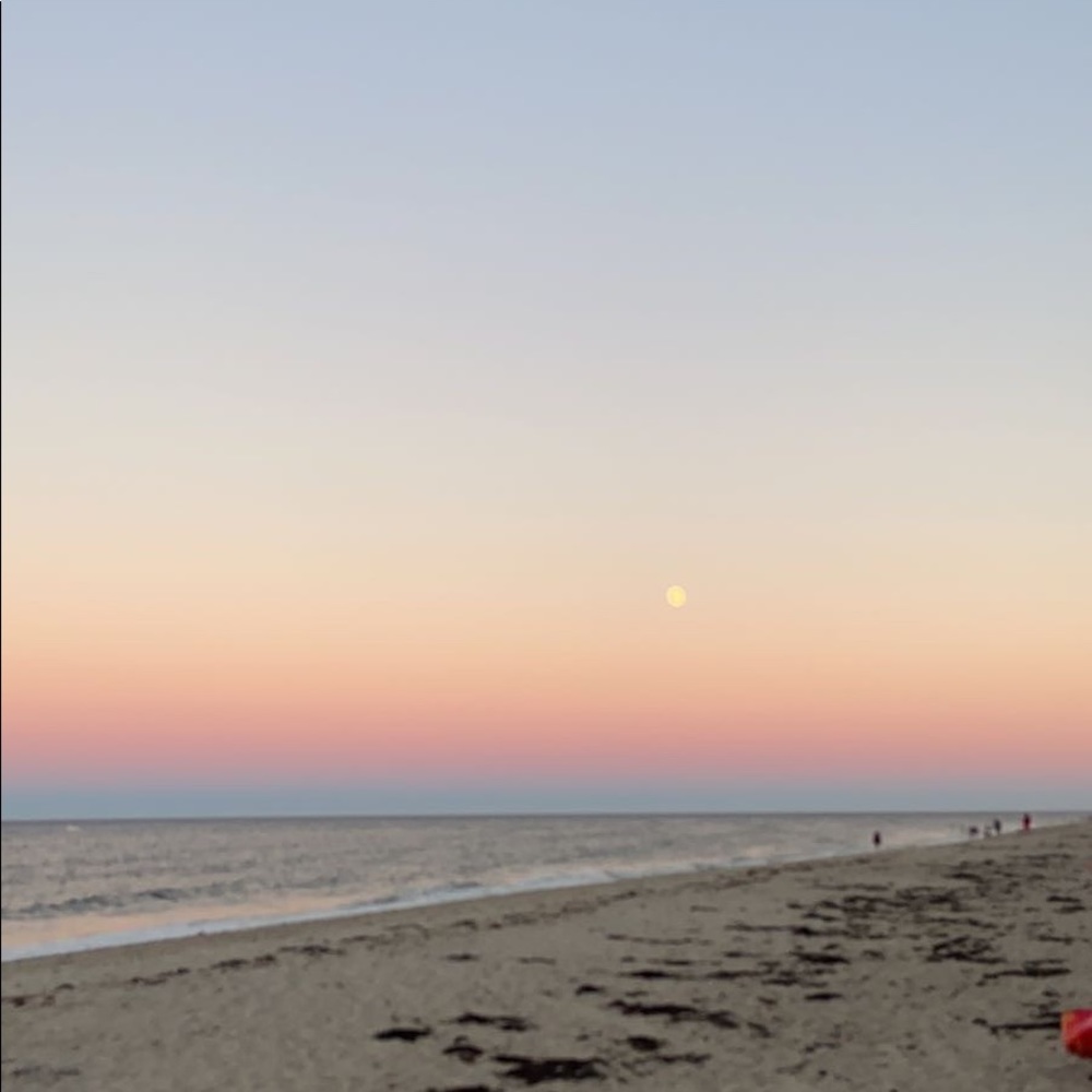 Meet your Posher, Bridget